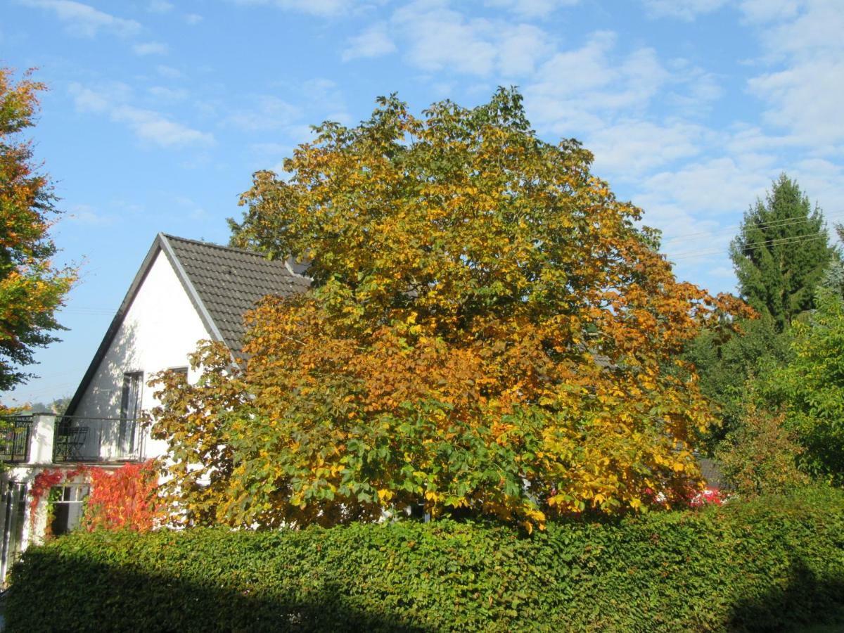 Eifel Gaestewohnung Blankenheim  Exteriér fotografie